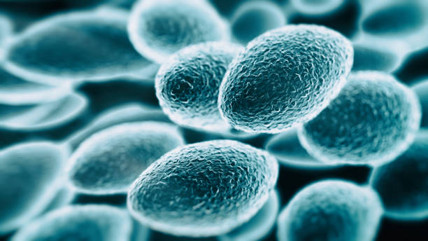 Ступінчаста ентеросорбція як оптимальний метод корекції мікробіоценозу кишечника у хворих на алергодерматози.